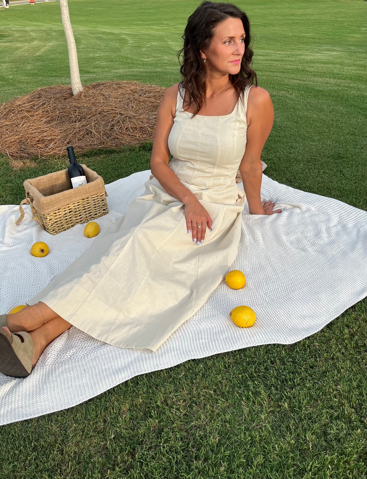 Lucca Linen Dress