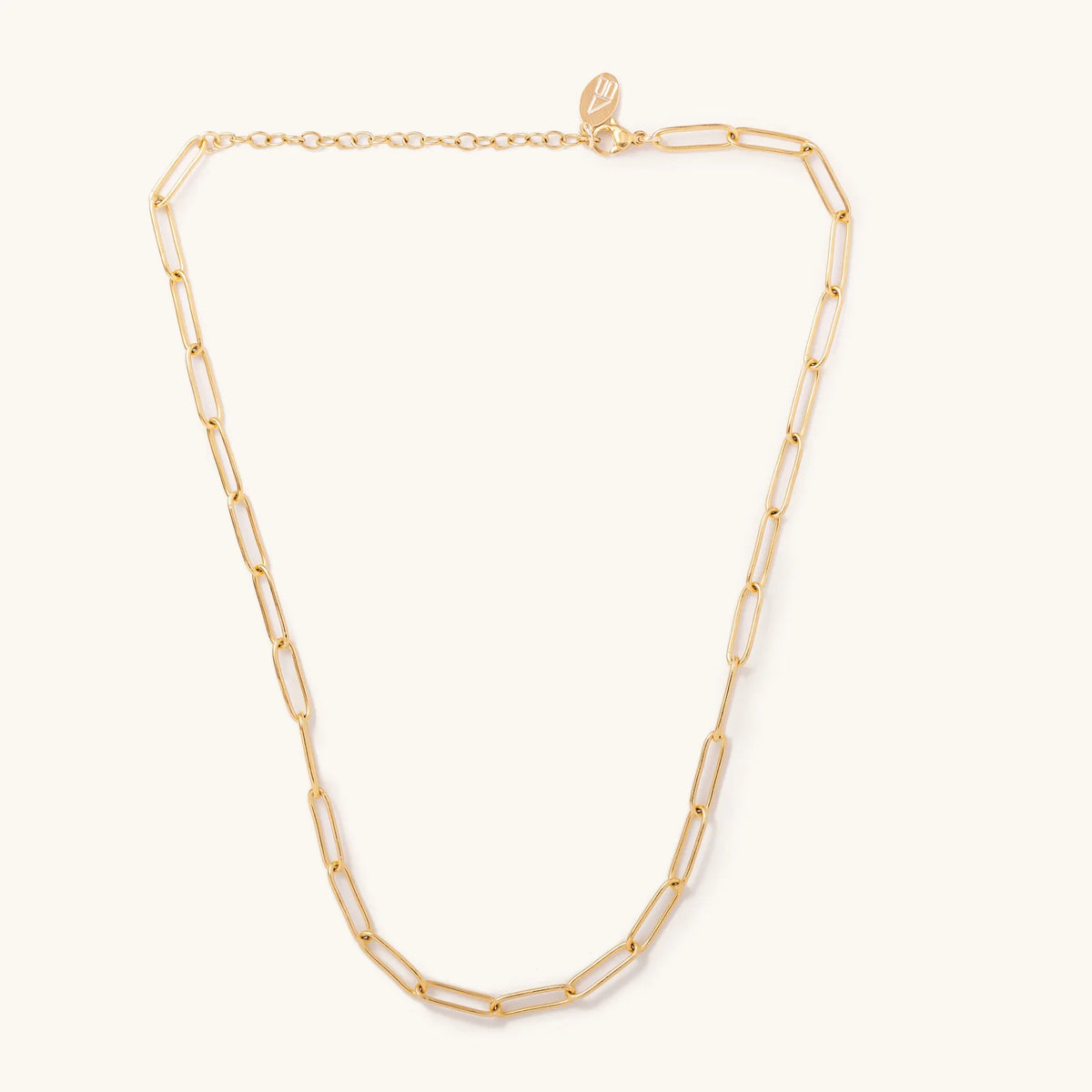Island Glam Paperclip Waterproof Necklace